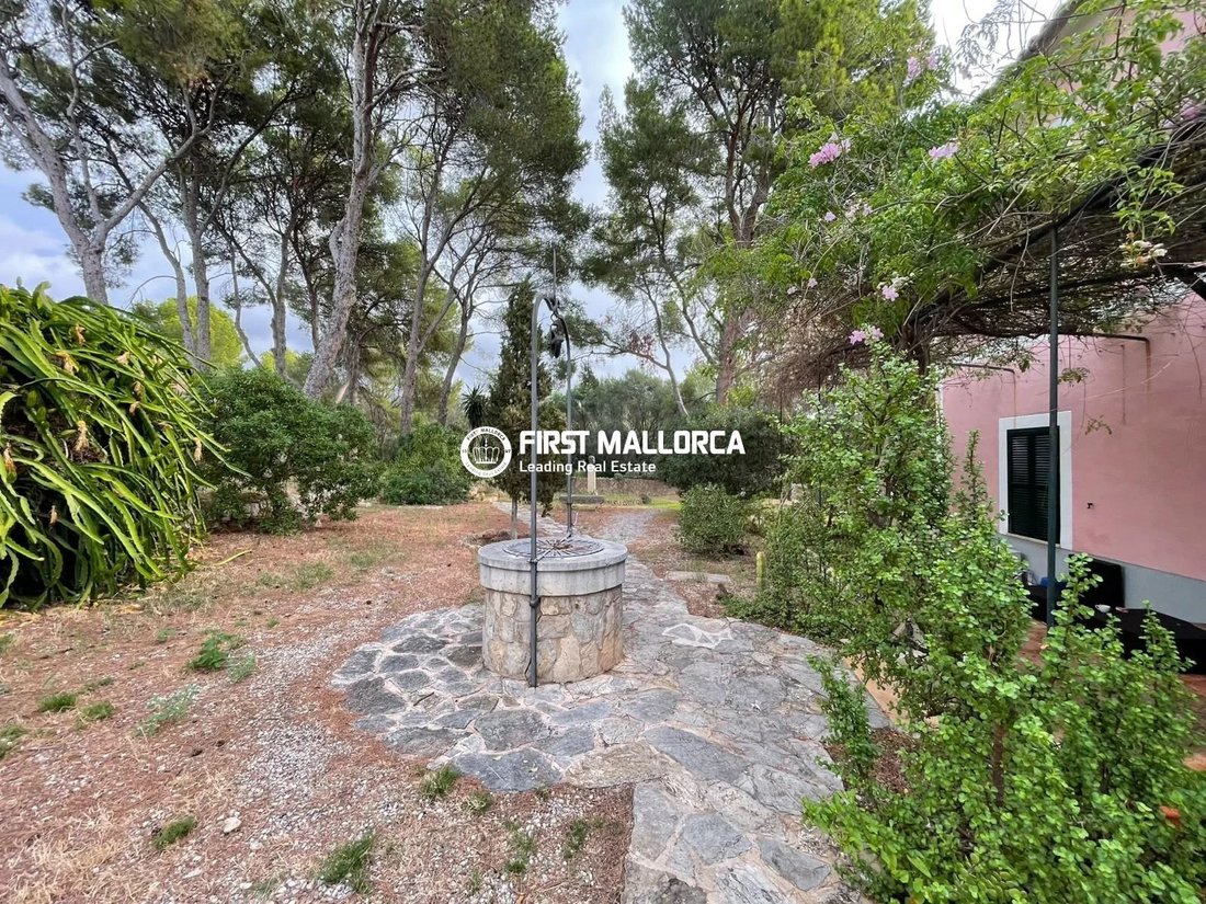 Villa in Calvia, Balearic Islands, Spain 2 - 19021449