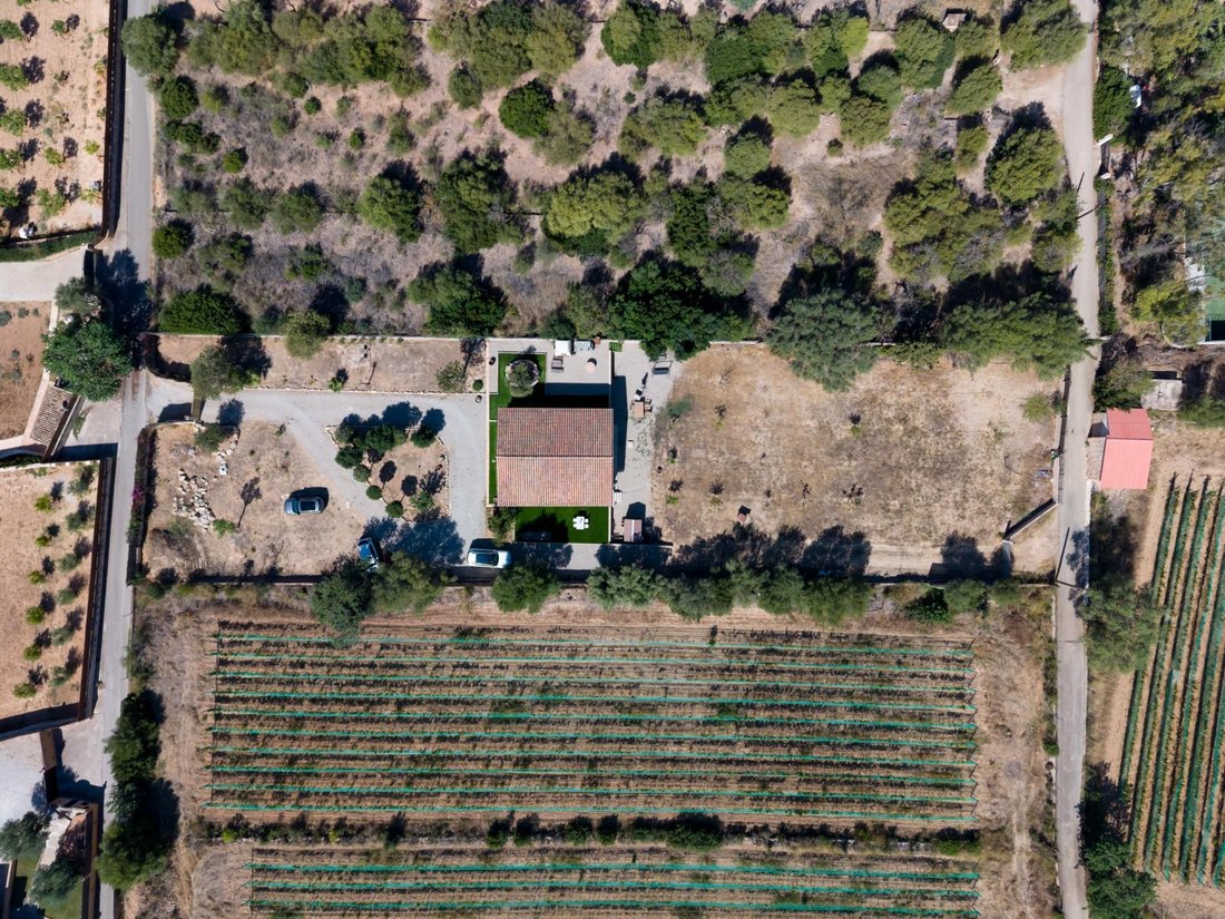 Villa in Port d'Andratx, Andratx, Balearic Islands 3 - 19027138