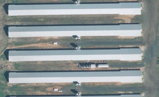 Azienda agricola a San Augustine, Texas, Stati Uniti 1
