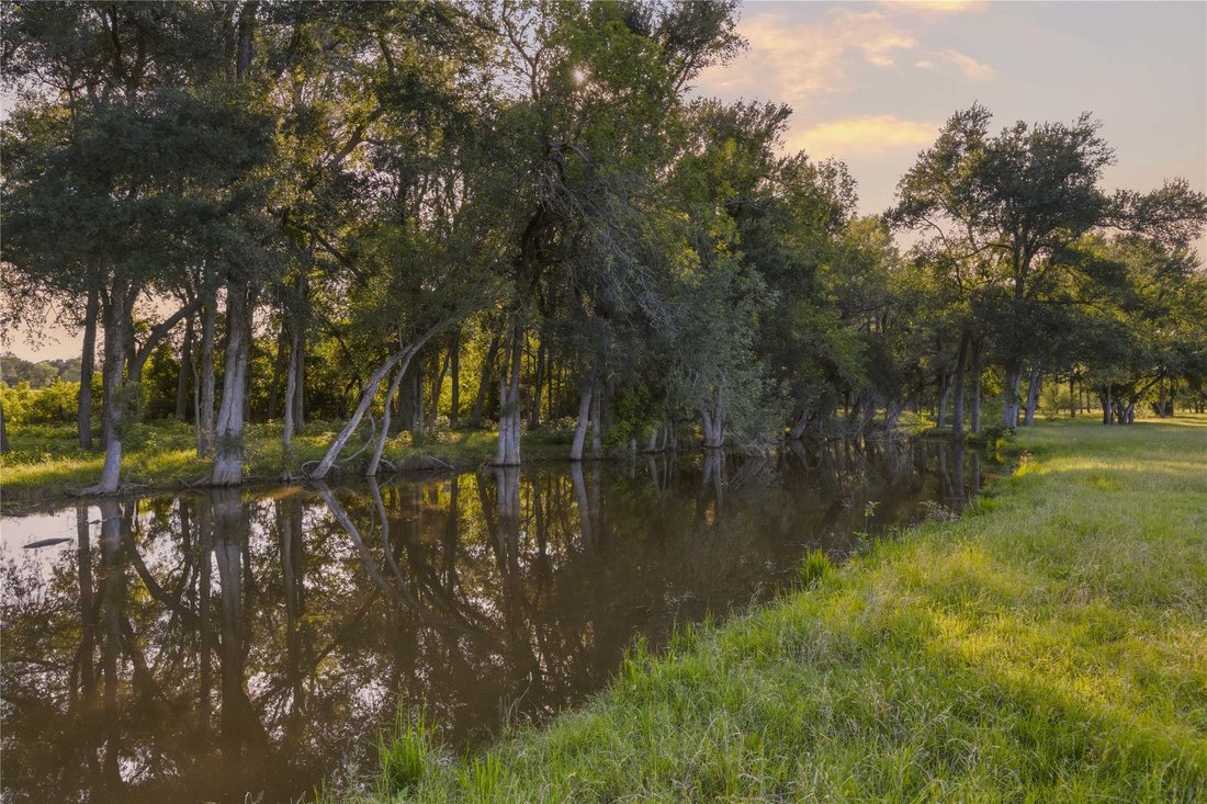 Elgin, Texas, United States 2 - 19024148