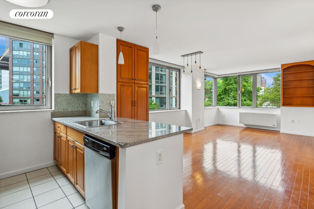 Appartement à New York, État de New York, États-Unis 1 - 19022441