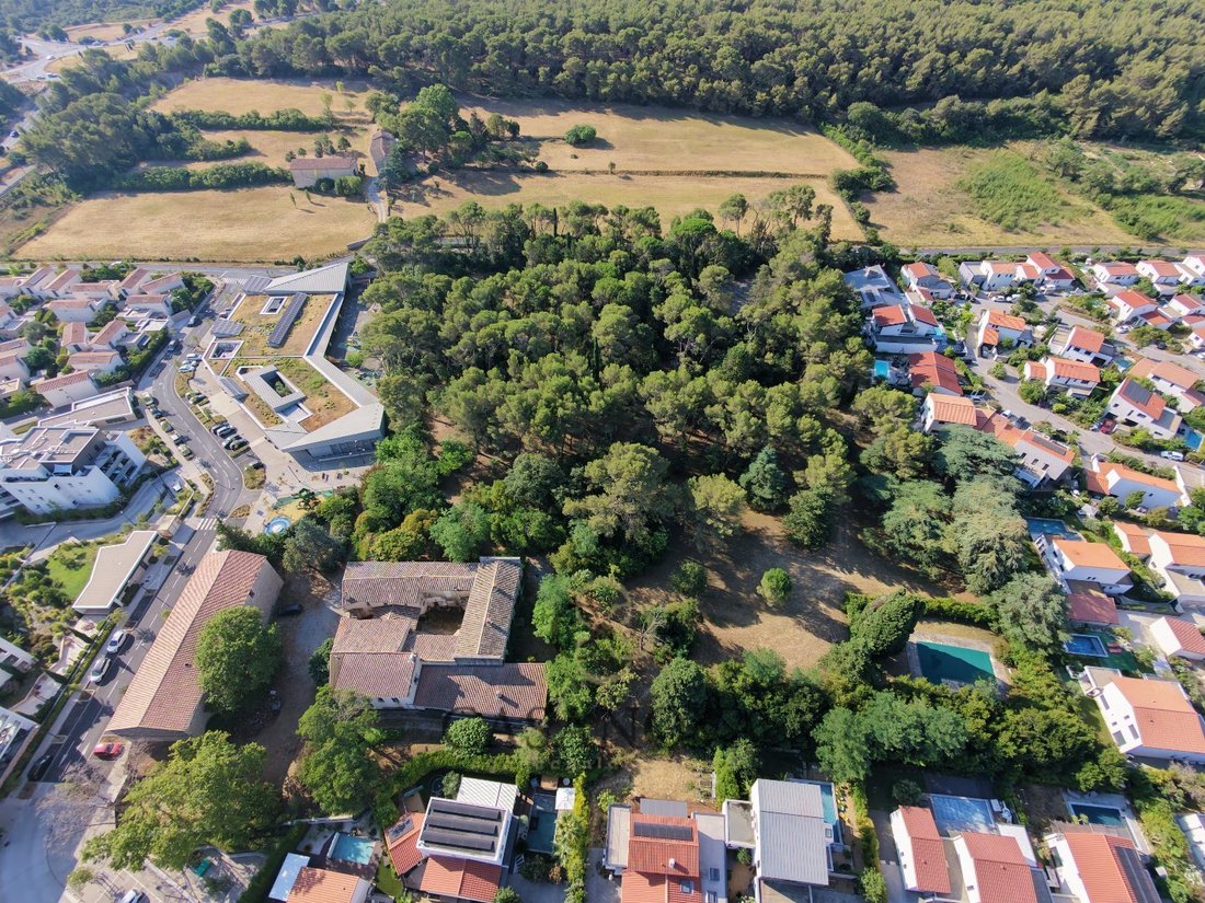 Otros en Castelnau-le-Lez, Occitania, Francia 5 - 19025461
