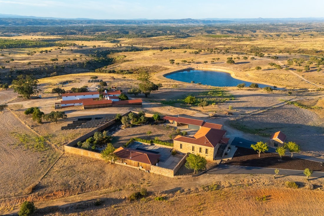 Farm Ranch in Castelo Branco, Castelo Branco, Portugal 1 - 19027507