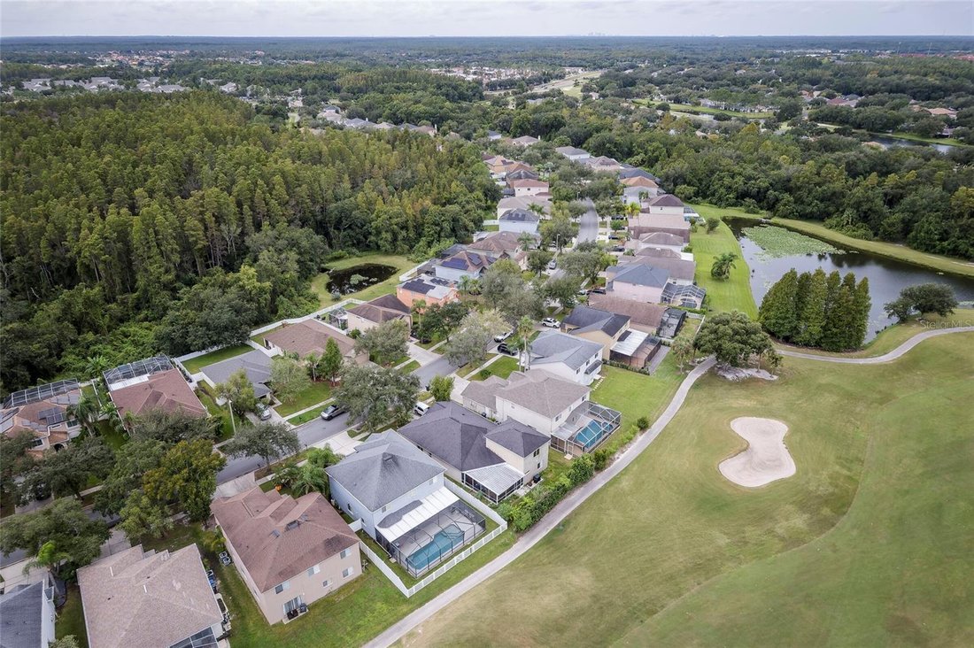 House in Tampa, Florida, United States 5 - 19013092