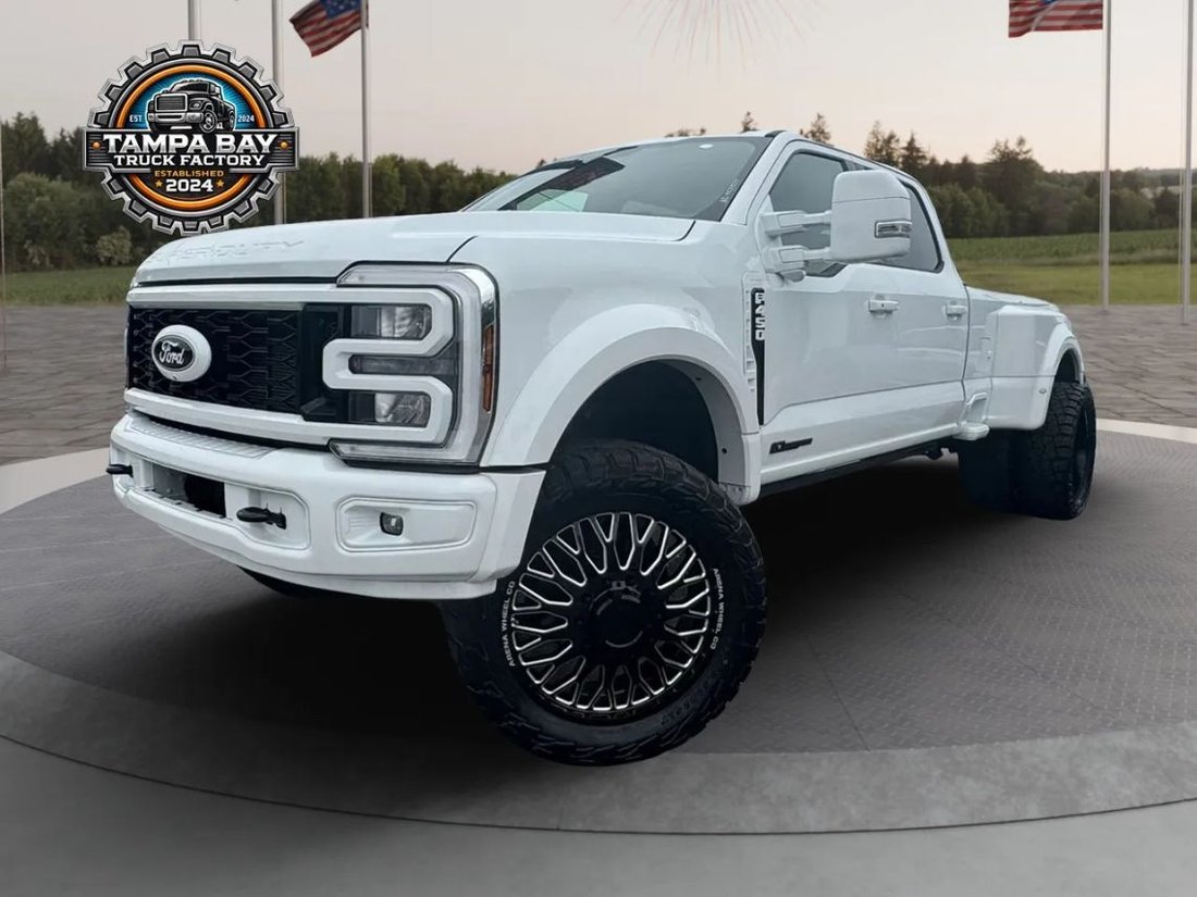 Pickup in Tampa, FL, United States 1 - 18424573
