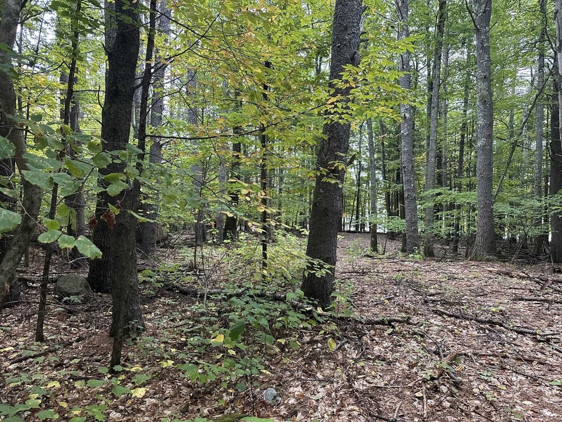Land in Meredith, New Hampshire, United States 5 - 19029078