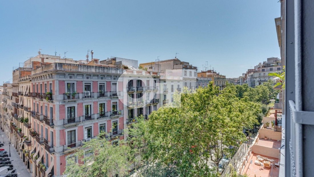 Apartment in Eixample, Barcelona, Spain 3 - 19031103