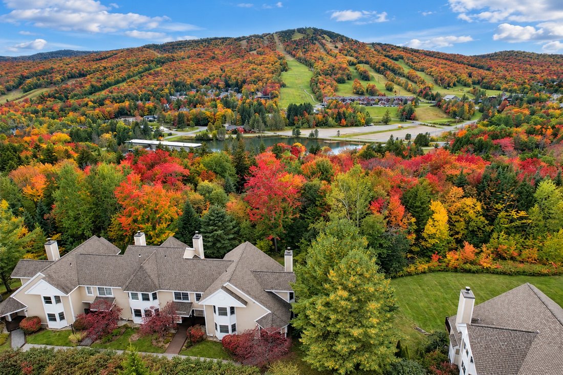 Condominio a Dover, Vermont, Stati Uniti 3 - 17328792