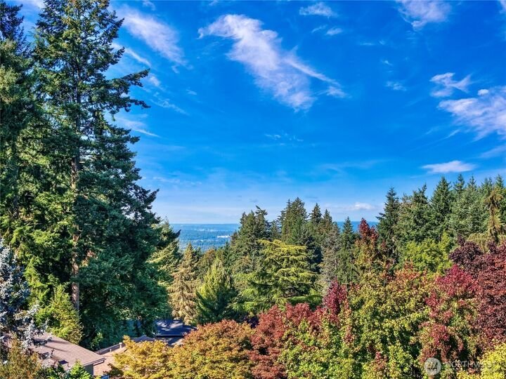House in Bellevue, Washington, United States 4 - 19032212