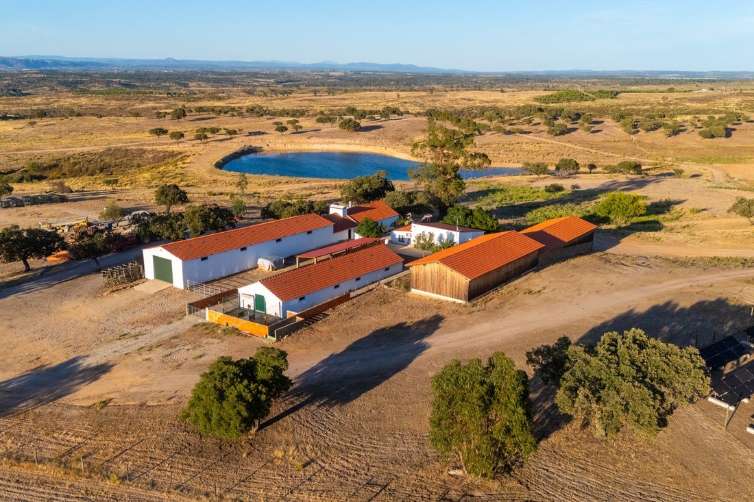 Farm Ranch in Castelo Branco, Castelo Branco, Portugal 3 - 19027507