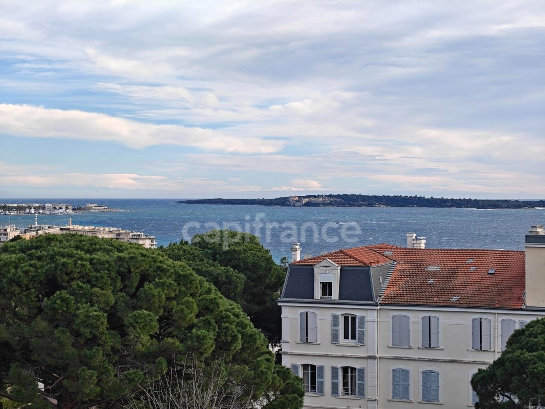 Casa en Cannes, Provenza-Alpes-Costa Azul, Francia 2 - 17314692
