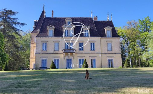 Castle in Jujurieux, Auvergne-Rhône-Alpes, France 1