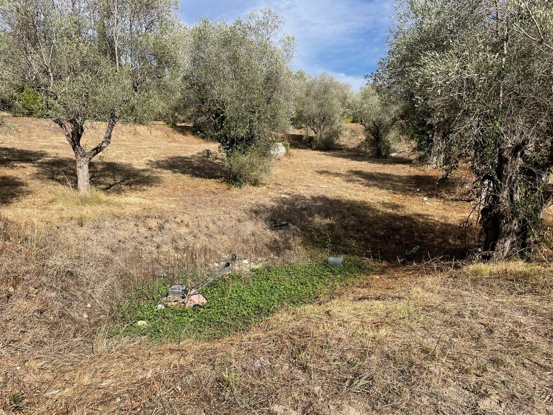 Land in Mougins, Provence-Alpes-Côte d'Azur, France 3 - 19028151
