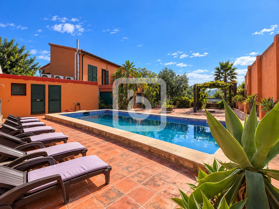 Villa in Gandia, Valencian Community, Spain 1 - 19027748