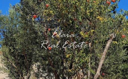 Land in Spetses, Attica, Greece 1