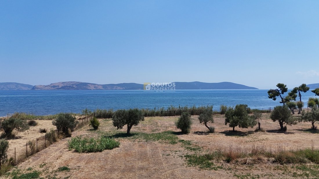 Land in Koinotita Thermisias, Ermioni, Greece 1 - 19029290