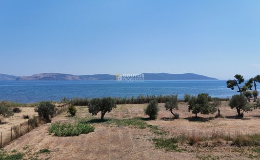 Land in Koinotita Thermisias, Ermioni, Greece 1