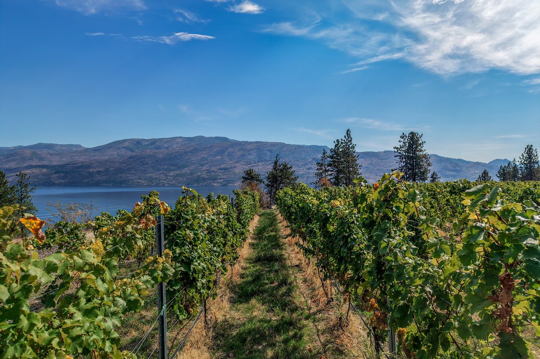 Peachland, British Columbia, Canada 1 - 19022062