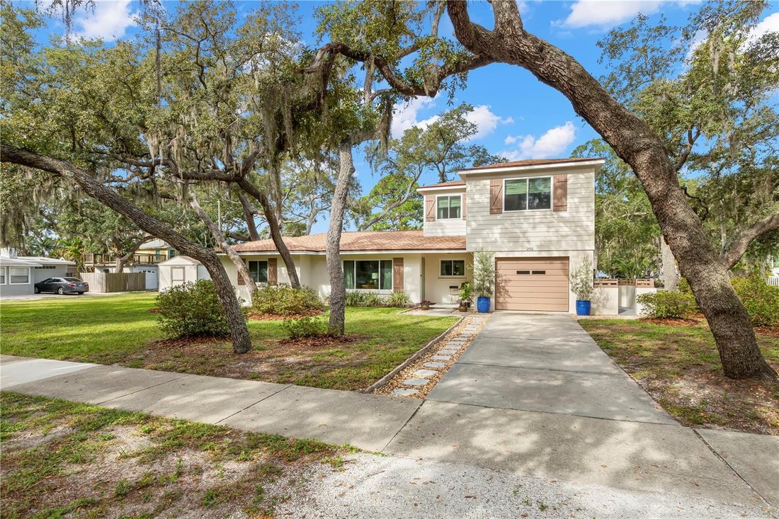 House in Palm Harbor, Florida, United States 5 - 19029406