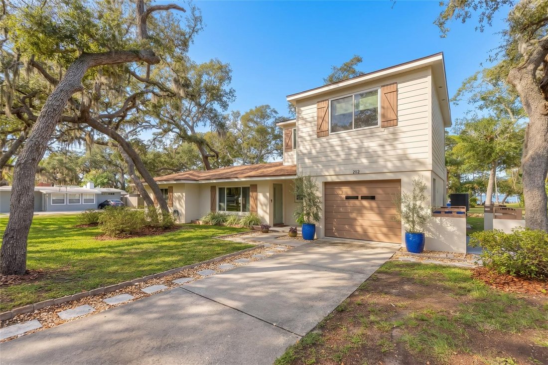 House in Palm Harbor, Florida, United States 3 - 19029406