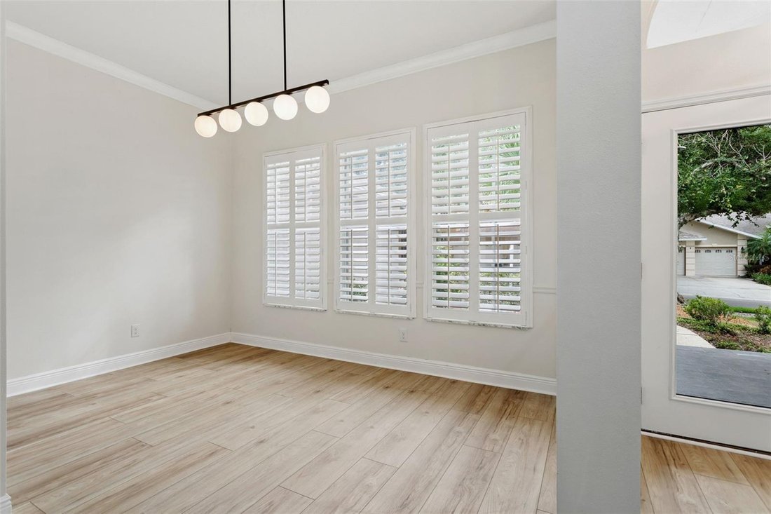 House in Safety Harbor, Florida, United States 4 - 19023445