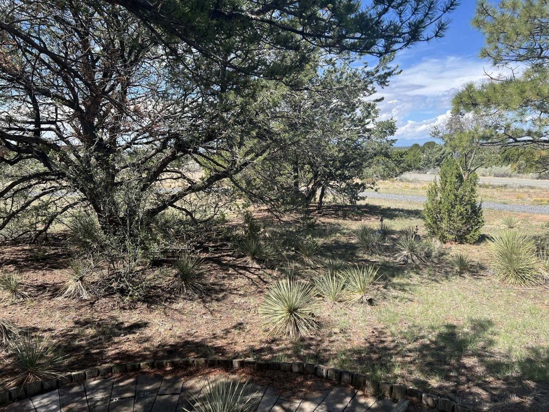 House in Santa Fe, New Mexico, United States 3 - 19022661