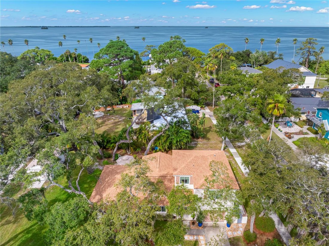 House in Palm Harbor, Florida, United States 4 - 19029406