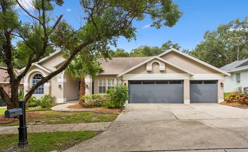 House in Safety Harbor, Florida, United States 1
