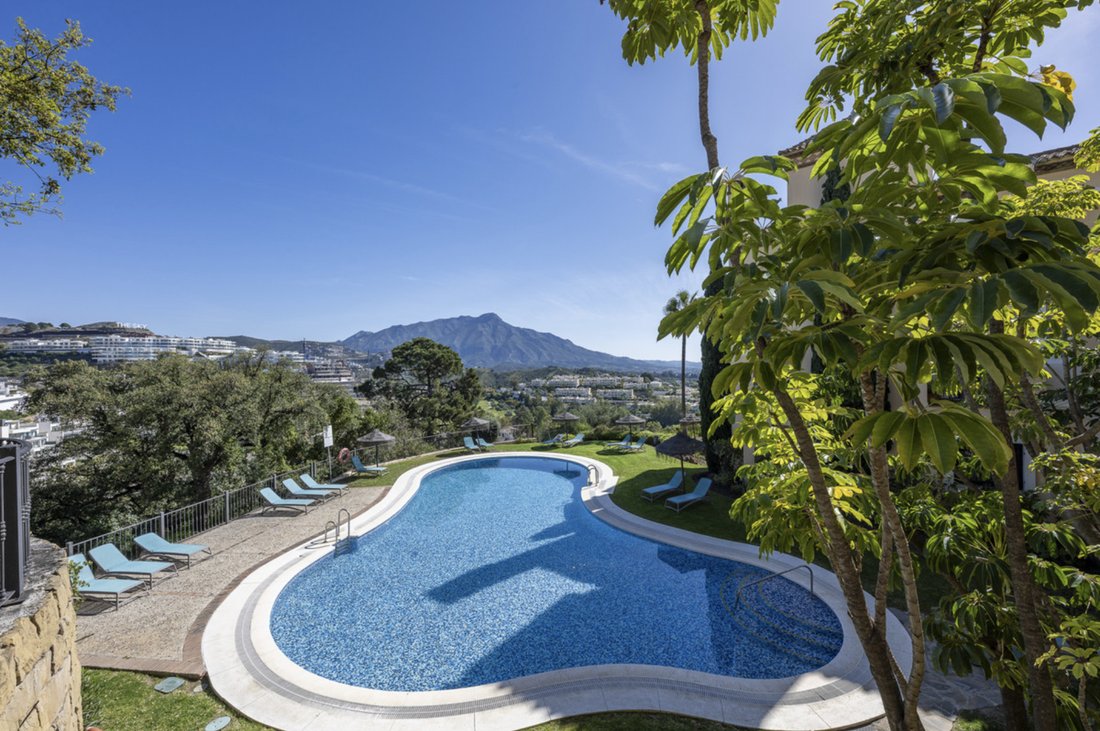 Apartment in Marbella, Andalusia, Spain 5 - 19028020