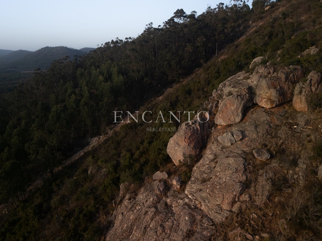 Finca à São Luis, Beja, Portugal 3 - 19030049