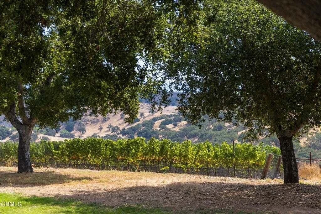 House in Santa Ynez, California, United States 3 - 19031018
