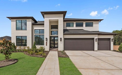 House in Magnolia, Texas, United States 1