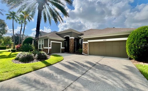 Maison à Tampa, Floride, États-Unis 1