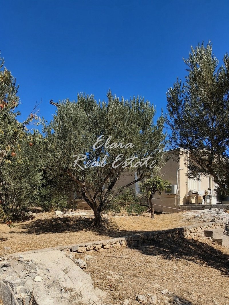Land in Spetses, Attika, Griechenland 3 - 19033055