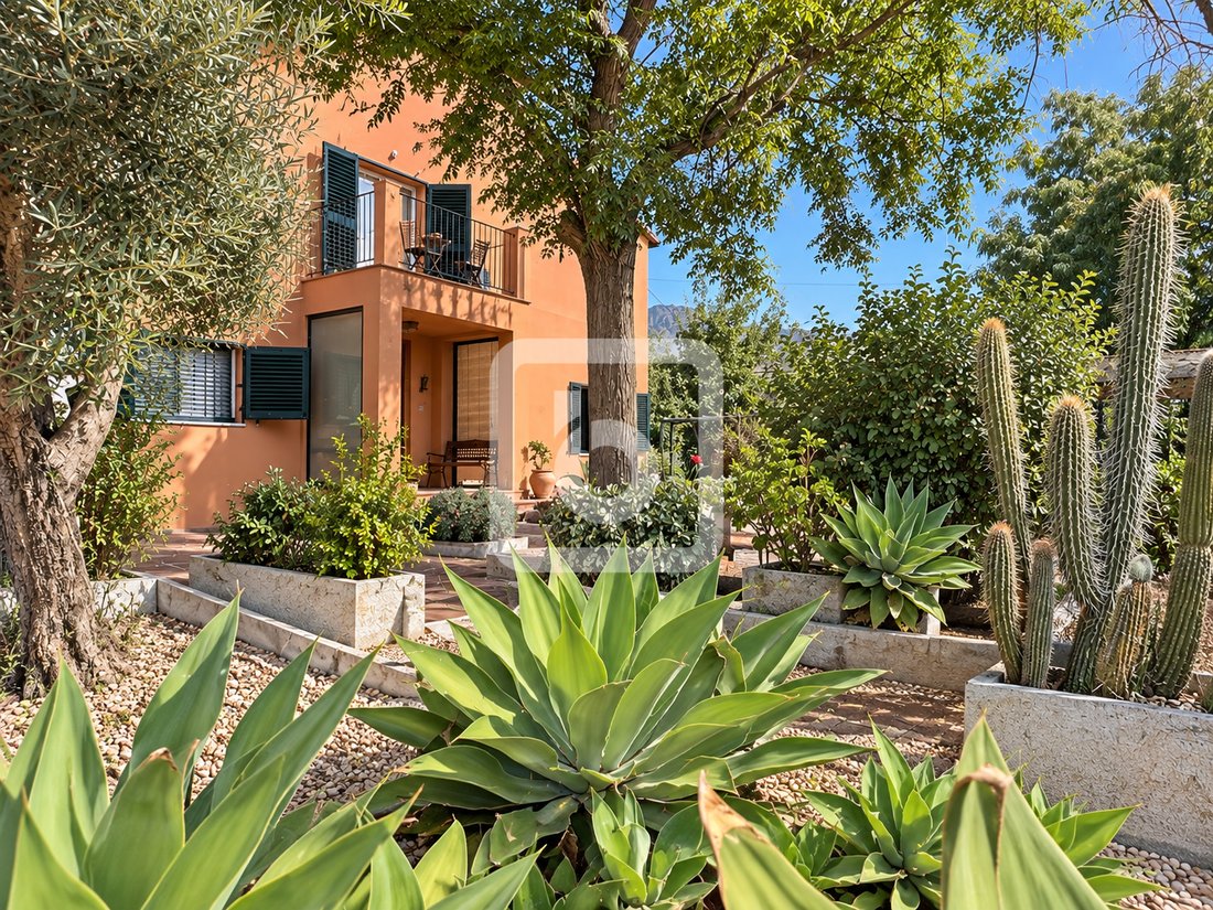 Villa in Gandia, Valencian Community, Spain 2 - 19027748