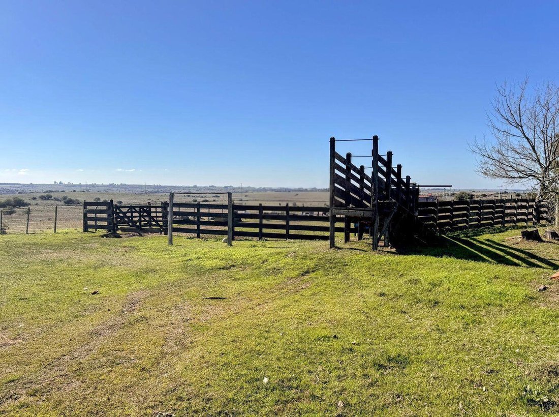 Farm Ranch in Trinidad, Departamento Flores, Uruguay 1 - 18929470