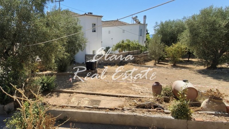 Land in Spetses, Attika, Griechenland 2 - 19033055
