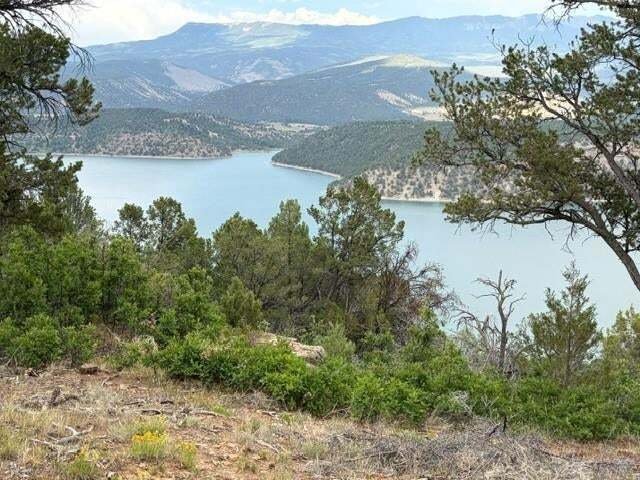 House in Ridgway, Colorado, United States 2 - 19022690