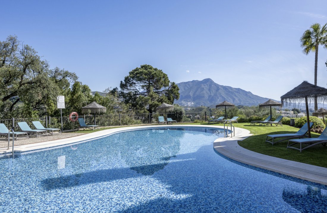 Apartment in Marbella, Andalusia, Spain 1 - 19028020