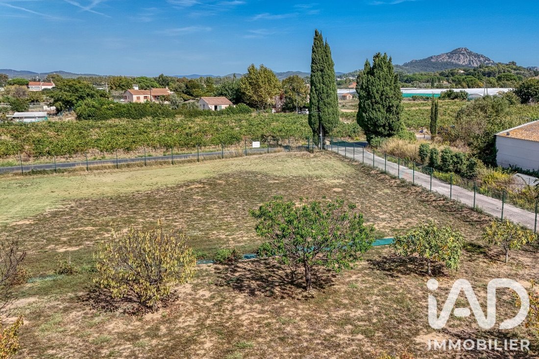 House in La Crau, Provence-Alpes-Côte d'Azur, France 5 - 19028670