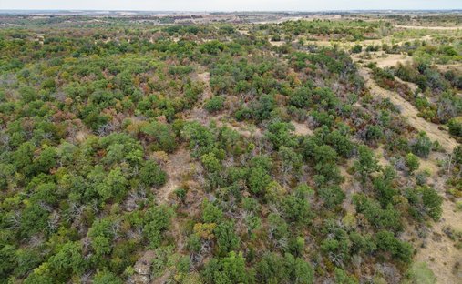 Terreno en Bridgeport, Texas, Estados Unidos 1