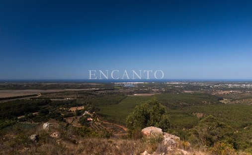 Finca in Sao Luis, Beja District, Portugal 1