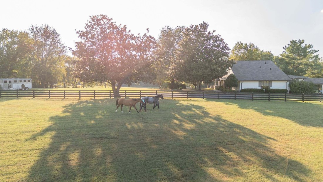 House in Franklin, Tennessee, United States 3 - 19032394