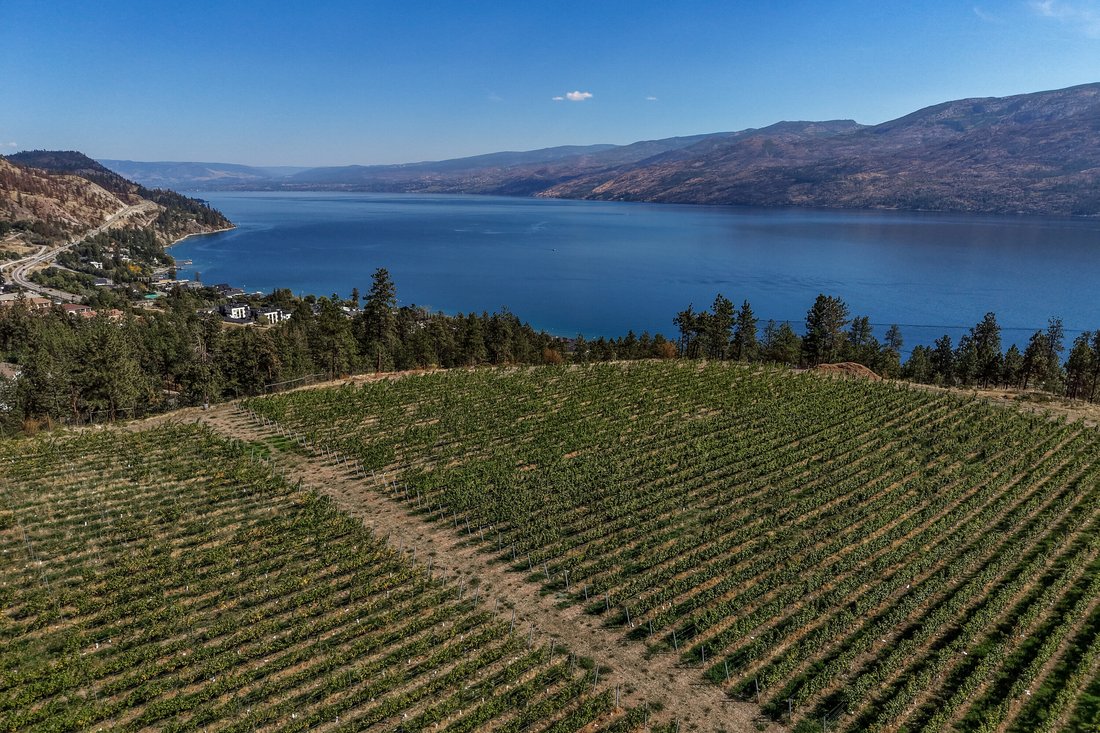 Peachland, British Columbia, Canada 4 - 19022062