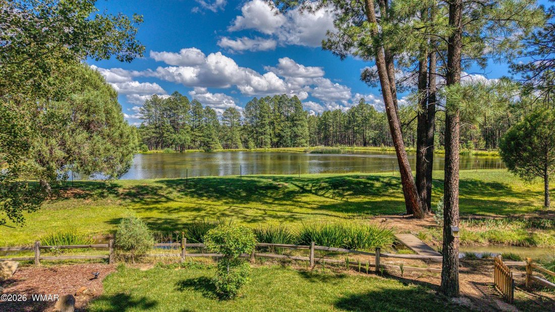 Pinetop-Lakeside, Arizona, United States 4 - 19026835