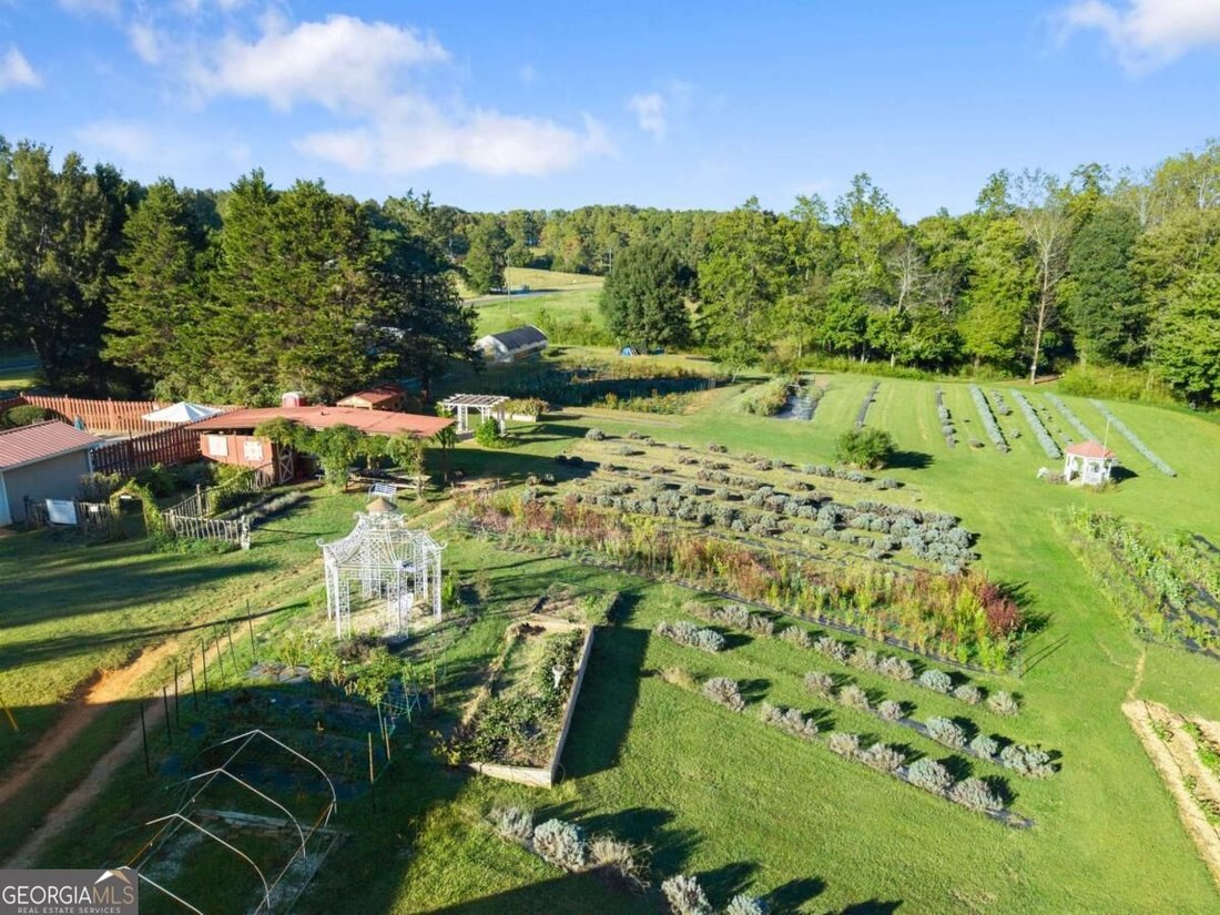 House in Dahlonega, Georgia, United States 4 - 19024341