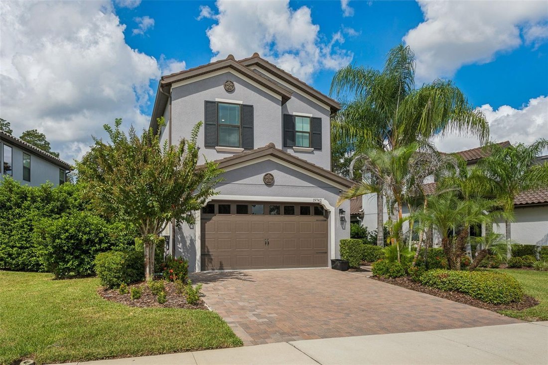 House in Land O' Lakes, Florida, United States 3 - 19023439
