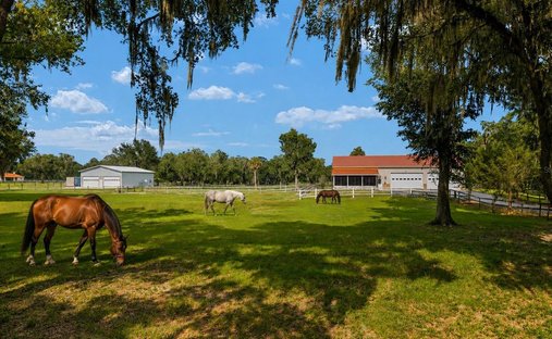 Corps de ferme à Ocala, Floride, États-Unis 1