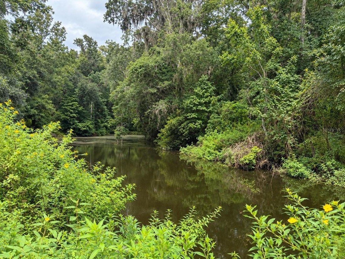 House in South Brooksville, Florida, United States 5 - 19027160