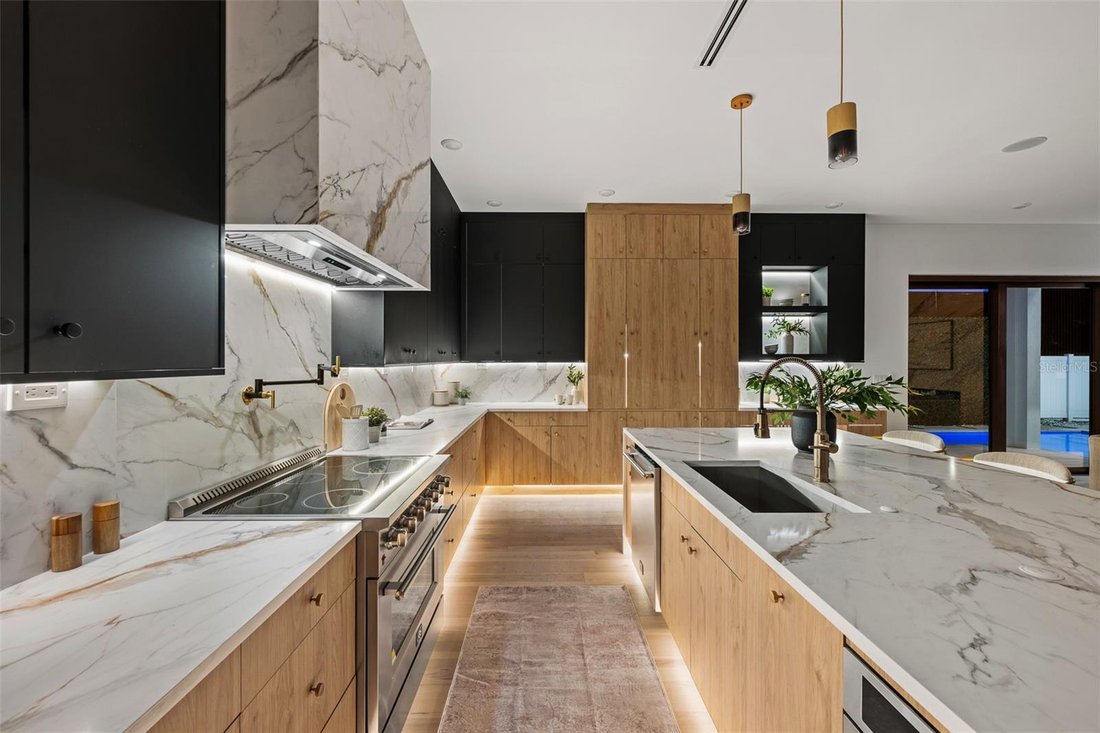 House in Tampa, Florida, United States 4 - 19024041